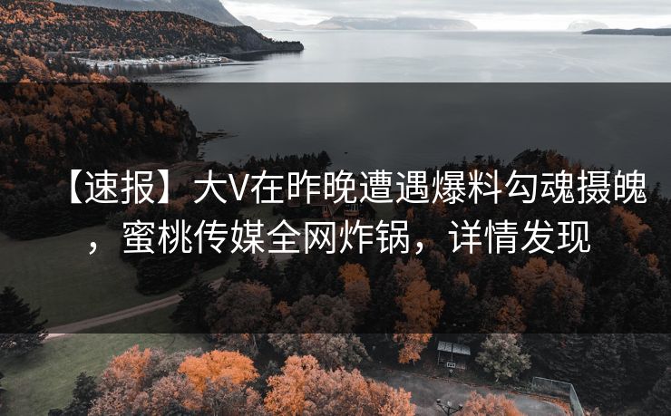 【速报】大V在昨晚遭遇爆料勾魂摄魄，蜜桃传媒全网炸锅，详情发现